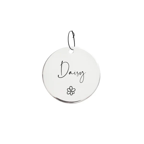 (5pcs) 007 Cats Dog ID Tag Personalized Engraved for Small Puppy Pets Collar Name Accessories Simple Design 4 Lines of Custom Text